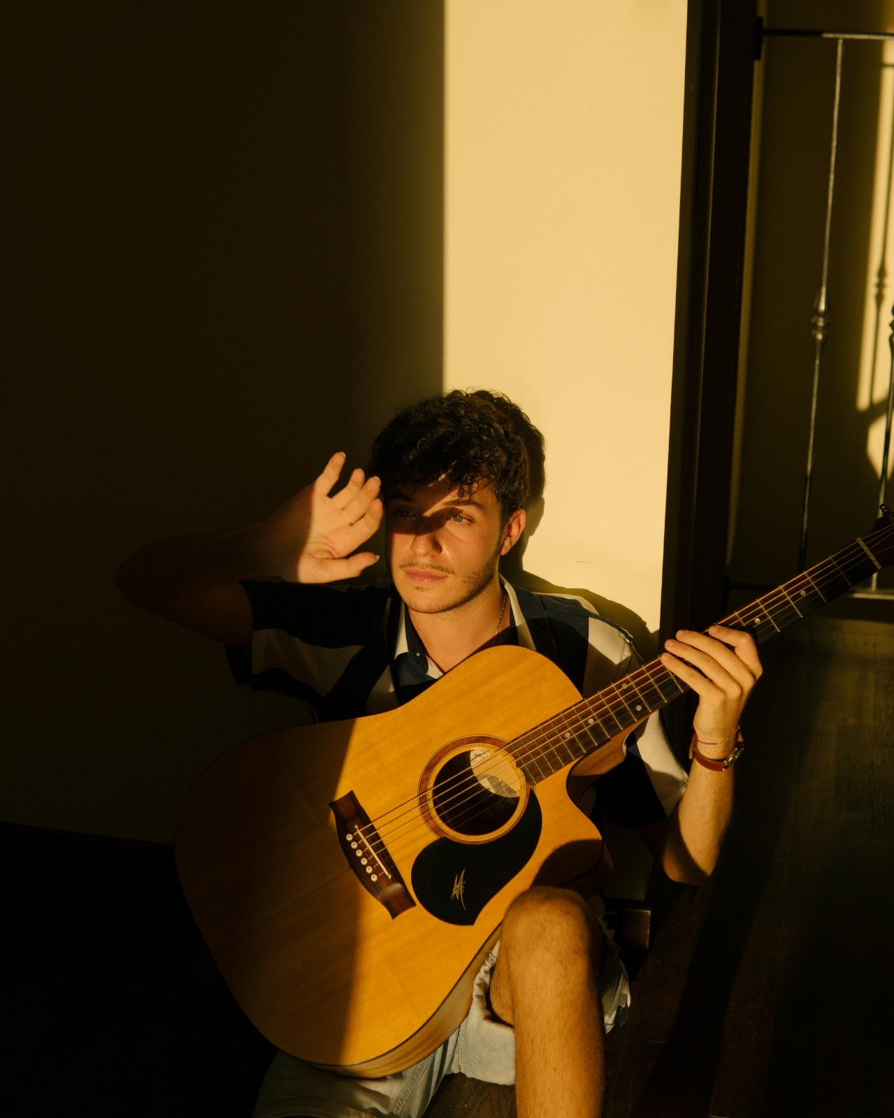 concert-pic